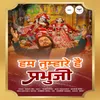 About Hum Tumhare Hai Prabhu Song